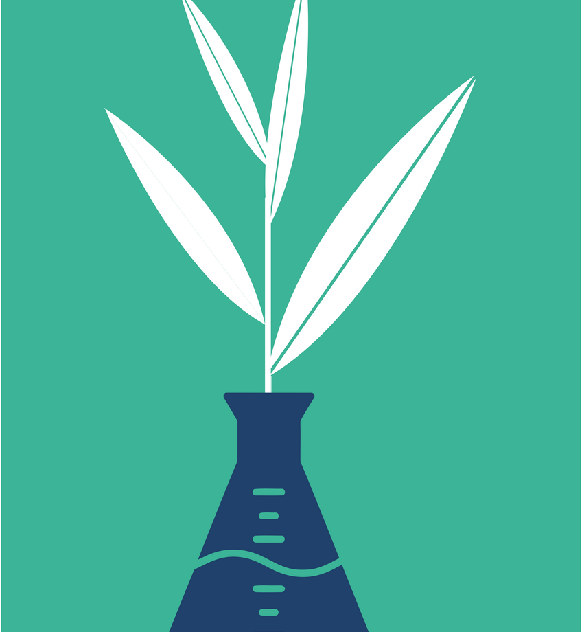STEM exploratio